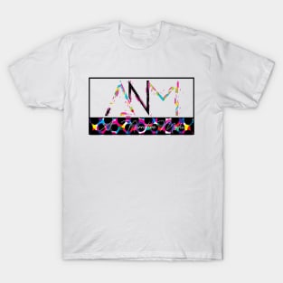 ANM Logo Horizon T-Shirt